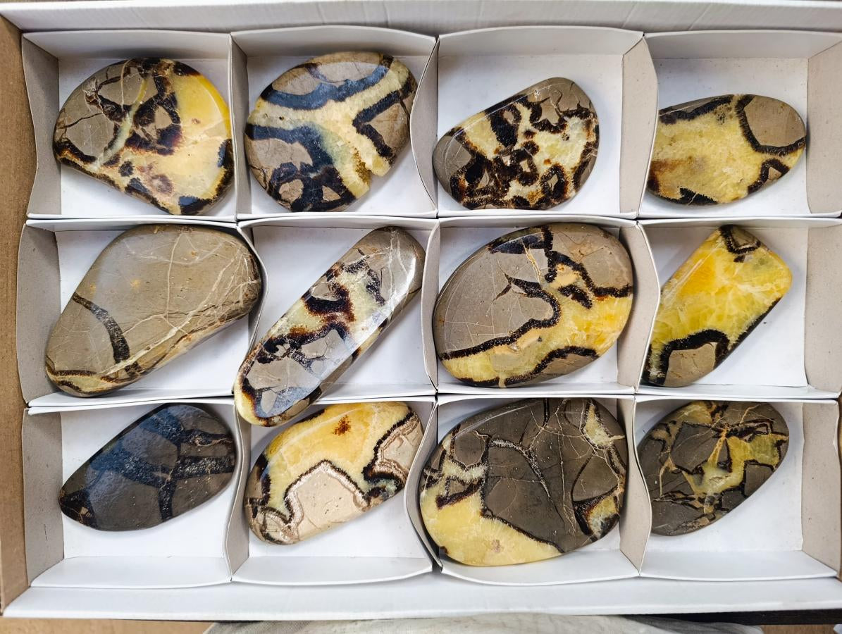 Polished Septerye Slices x 12 From Mahajanga, Madagascar - Toprock Gemstones and Minerals 