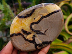 Polished Septerye Slices x 12 From Mahajanga, Madagascar - Toprock Gemstones and Minerals 