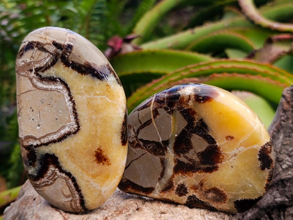 Polished Septerye Slices x 12 From Mahajanga, Madagascar - Toprock Gemstones and Minerals 