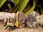 Polished Septerye Slices x 12 From Mahajanga, Madagascar - Toprock Gemstones and Minerals 