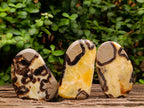 Polished Septerye Slices x 12 From Mahajanga, Madagascar - Toprock Gemstones and Minerals 