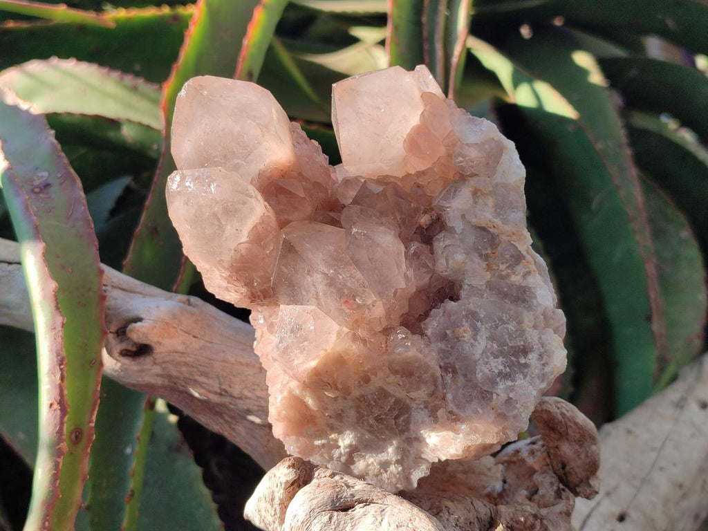 Natural White Phantom Cascading Smokey Luena Quartz Clusters x 2 From Luena, Congo - Toprock Gemstones and Minerals 