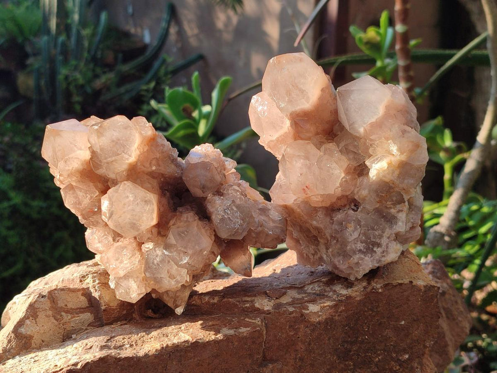Natural White Phantom Cascading Smokey Luena Quartz Clusters x 2 From Luena, Congo - Toprock Gemstones and Minerals 