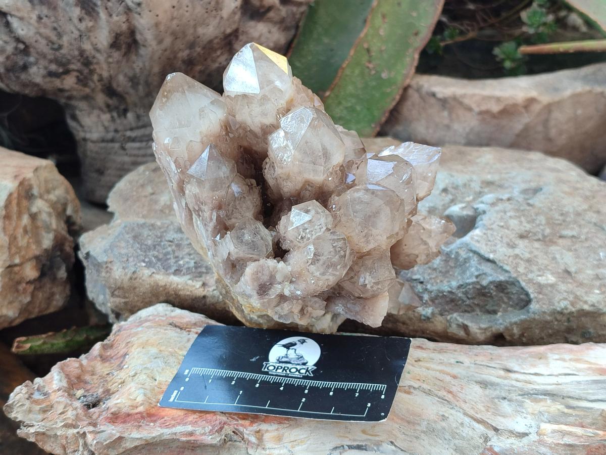 Natural White Phantom Cascading Smokey Luena Quartz Clusters x 2 From Luena, Congo - Toprock Gemstones and Minerals 