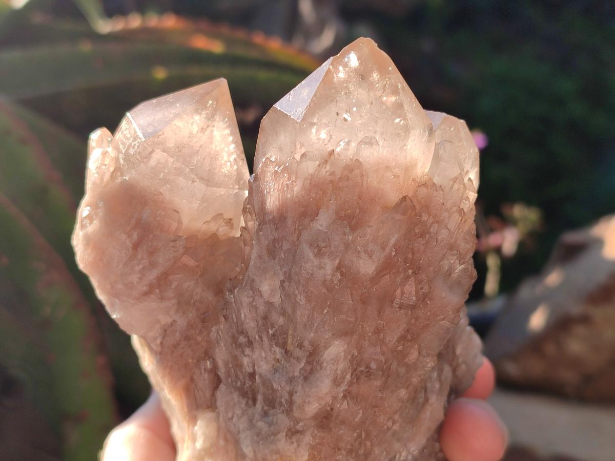 Natural White Phantom Cascading Smokey Luena Quartz Clusters x 2 From Luena, Congo - Toprock Gemstones and Minerals 