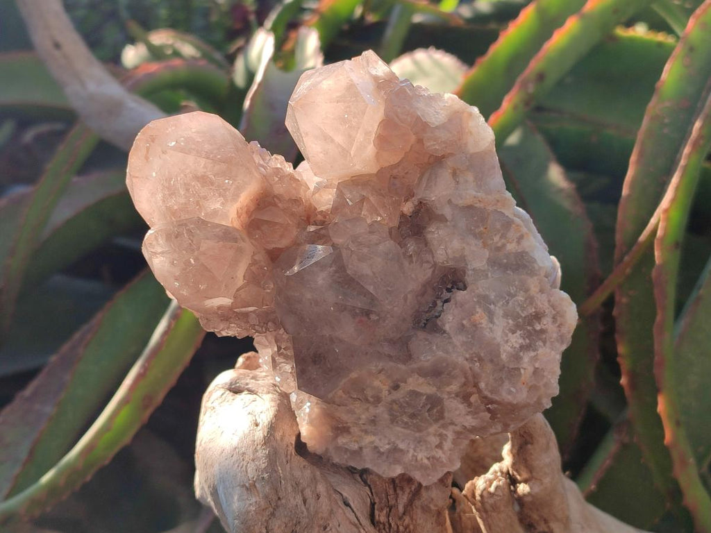 Natural White Phantom Cascading Smokey Luena Quartz Clusters x 2 From Luena, Congo - Toprock Gemstones and Minerals 