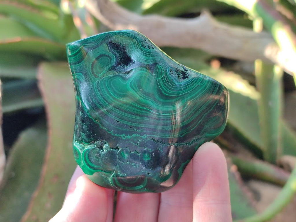 Polished Flower Banded Malachite Free Forms x 5 From Congo - Toprock Gemstones and Minerals 
