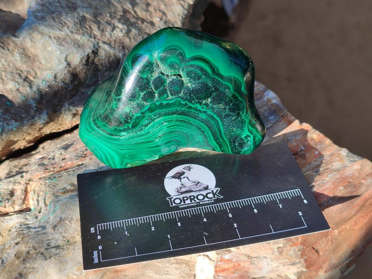 Polished Flower Banded Malachite Free Forms x 5 From Congo - Toprock Gemstones and Minerals 