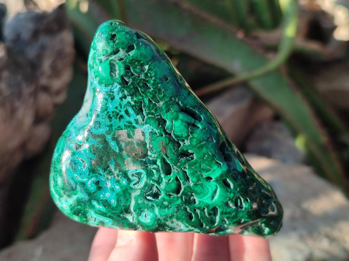 Polished Flower Banded Malachite Free Forms x 5 From Congo - Toprock Gemstones and Minerals 