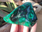 Polished Flower Banded Malachite Free Forms x 5 From Congo - Toprock Gemstones and Minerals 