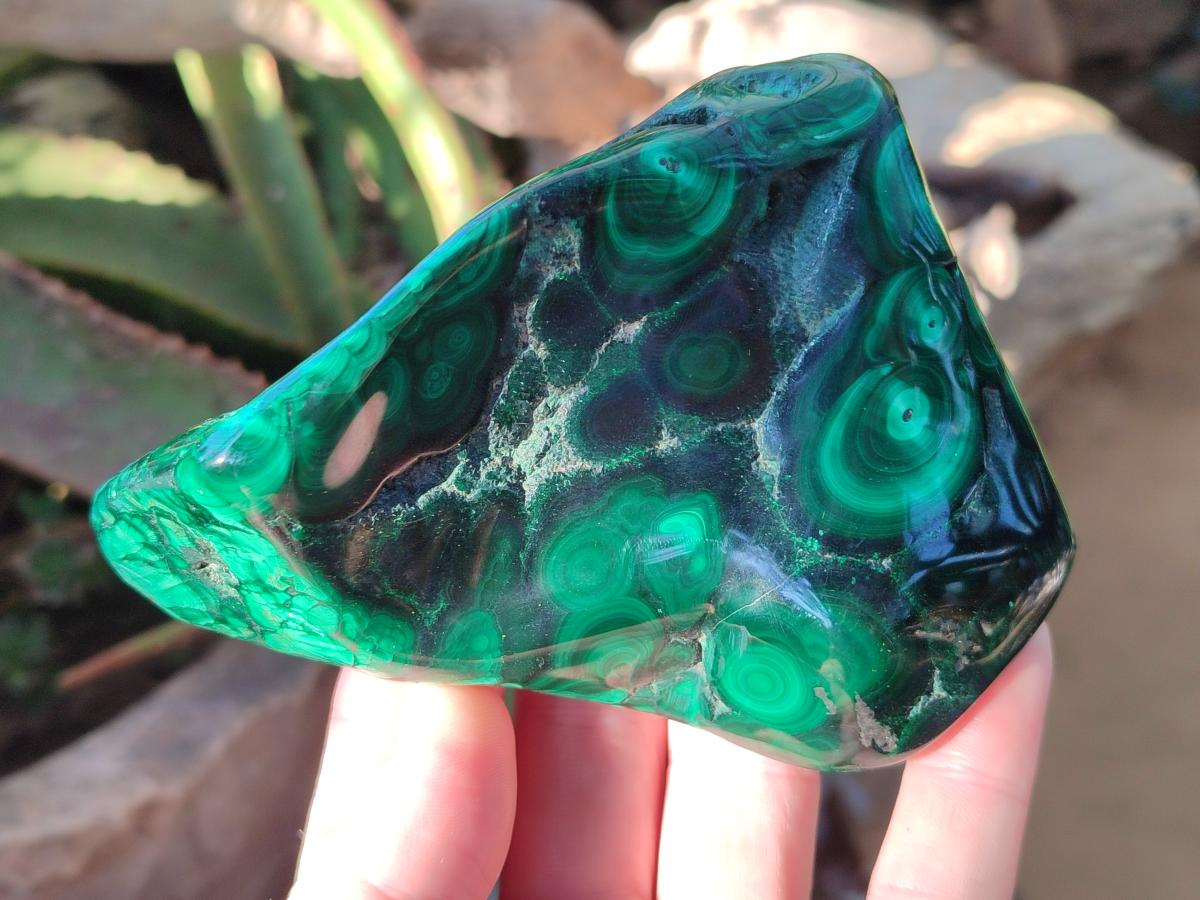 Polished Flower Banded Malachite Free Forms x 5 From Congo - Toprock Gemstones and Minerals 