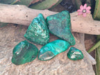 Polished Flower Banded Malachite Free Forms x 5 From Congo - Toprock Gemstones and Minerals 