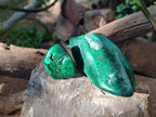 Polished Flower Banded Malachite Free Forms x 5 From Congo - Toprock Gemstones and Minerals 
