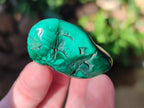 Polished Flower Banded Malachite Free Forms x 5 From Congo - Toprock Gemstones and Minerals 