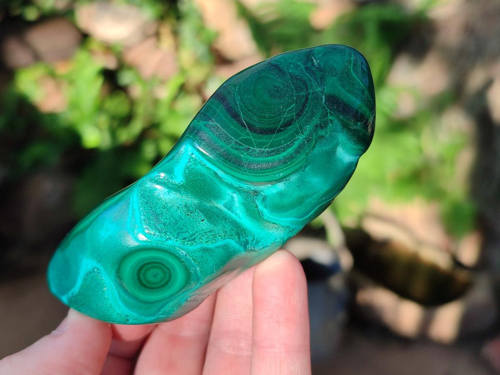 Polished Flower Banded Malachite Free Forms x 5 From Congo - Toprock Gemstones and Minerals 