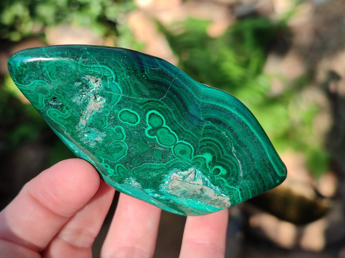 Polished Flower Banded Malachite Free Forms x 5 From Congo - Toprock Gemstones and Minerals 