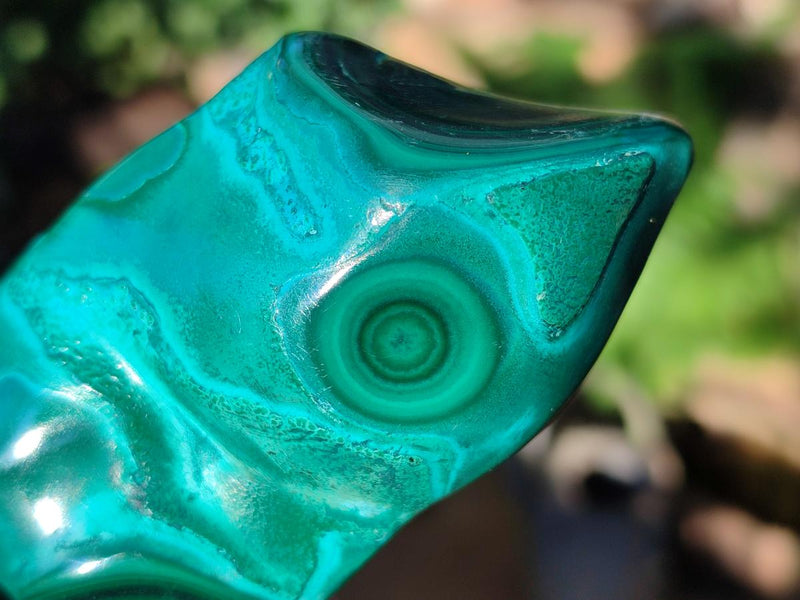 Polished Flower Banded Malachite Free Forms x 5 From Congo - Toprock Gemstones and Minerals 