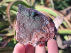Natural Drusy Salrose Cobaltoan Dolomite with Malachite x 6 From Kakanda, Congo - Toprock Gemstones and Minerals 