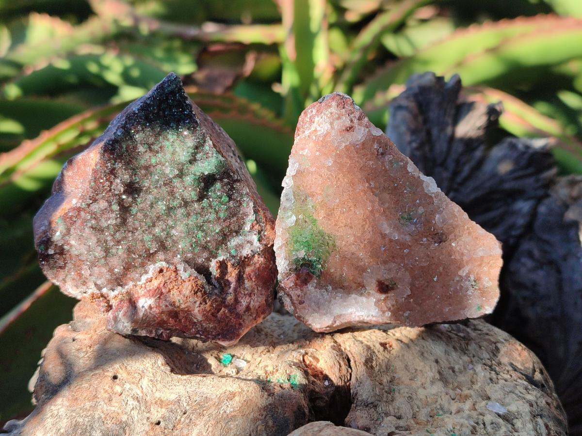 Natural Drusy Salrose Cobaltoan Dolomite with Malachite x 6 From Kakanda, Congo - Toprock Gemstones and Minerals 
