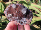Natural Drusy Salrose Cobaltoan Dolomite with Malachite x 6 From Kakanda, Congo - Toprock Gemstones and Minerals 