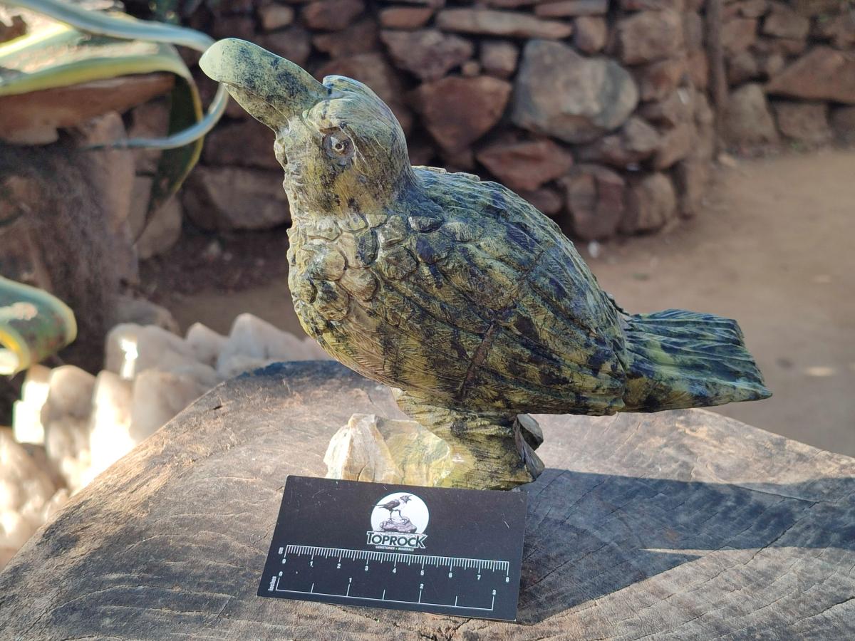 Hand Made Leopard Stone Raven Carving x 1 From Nyanga, Zimbabwe - Toprock Gemstones and Minerals 
