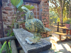 Hand Made Leopard Stone Raven Carving x 1 From Nyanga, Zimbabwe - Toprock Gemstones and Minerals 