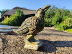 Hand Made Leopard Stone Raven Carving x 1 From Nyanga, Zimbabwe - Toprock Gemstones and Minerals 