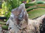 Natural Smokey Zomba Quartz Clusters  x 12 From Zomba Plateau, Malawi - Toprock Gemstones and Minerals 