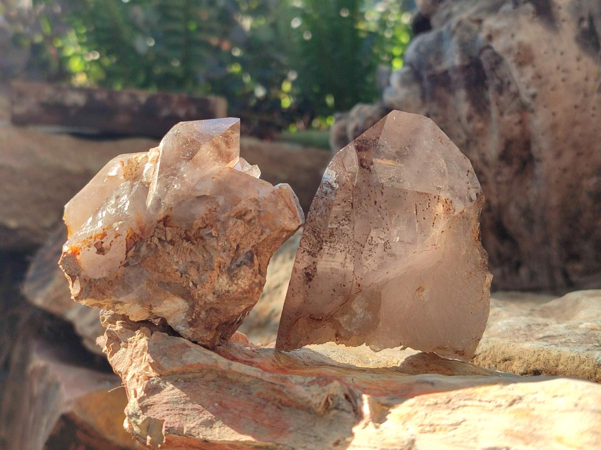Natural Smokey Zomba Quartz Clusters  x 12 From Zomba Plateau, Malawi - Toprock Gemstones and Minerals 