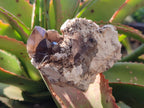 Natural Smokey Zomba Quartz Clusters  x 12 From Zomba Plateau, Malawi - Toprock Gemstones and Minerals 
