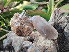 Natural Smokey Zomba Quartz Clusters  x 12 From Zomba Plateau, Malawi - Toprock Gemstones and Minerals 