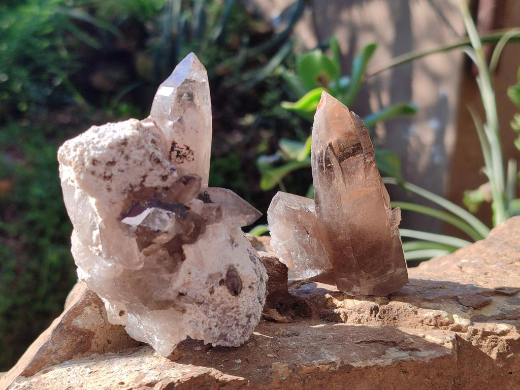 Natural Smokey Zomba Quartz Clusters  x 12 From Zomba Plateau, Malawi - Toprock Gemstones and Minerals 