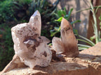 Natural Smokey Zomba Quartz Clusters  x 12 From Zomba Plateau, Malawi - Toprock Gemstones and Minerals 
