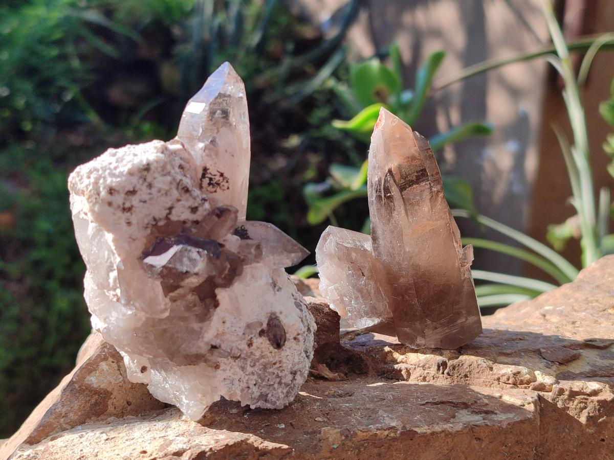 Natural Smokey Zomba Quartz Clusters  x 12 From Zomba Plateau, Malawi - Toprock Gemstones and Minerals 