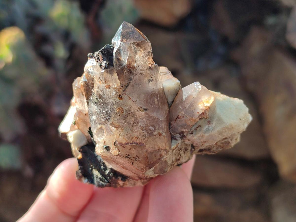 Natural Smokey Zomba Quartz Clusters  x 12 From Zomba Plateau, Malawi - Toprock Gemstones and Minerals 