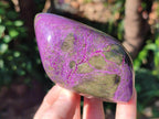 Polished Stichtite Standing Display Free Forms x 4 From Barberton, South Africa - Toprock Gemstones and Minerals 