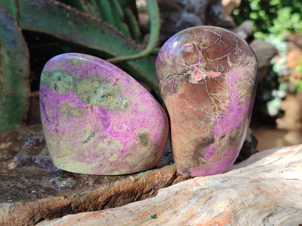 Polished Stichtite Standing Display Free Forms x 4 From Barberton, South Africa - Toprock Gemstones and Minerals 