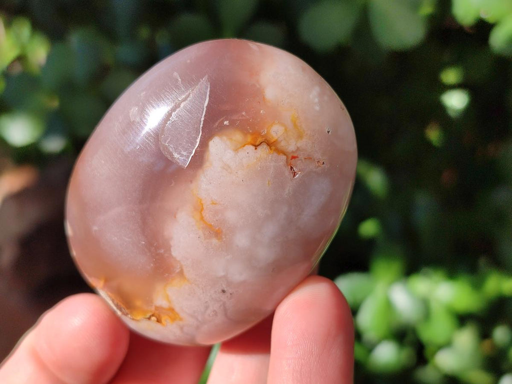 Polished Flower Agate Palm Stones x 12 From Antsahalova, Madagascar - Toprock Gemstones and Minerals 