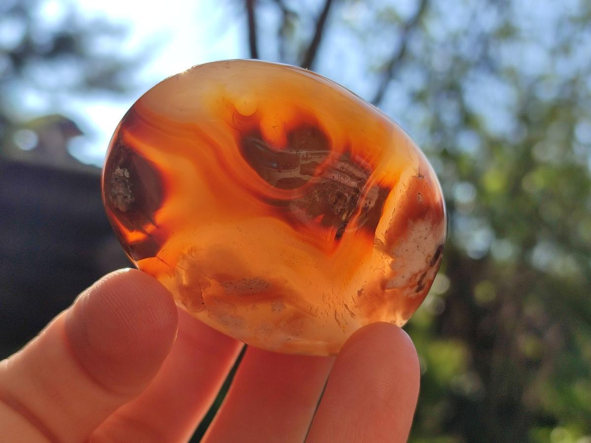 Polished Flower Agate Palm Stones x 12 From Antsahalova, Madagascar - Toprock Gemstones and Minerals 