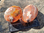 Polished Flower Agate Palm Stones x 12 From Antsahalova, Madagascar - Toprock Gemstones and Minerals 