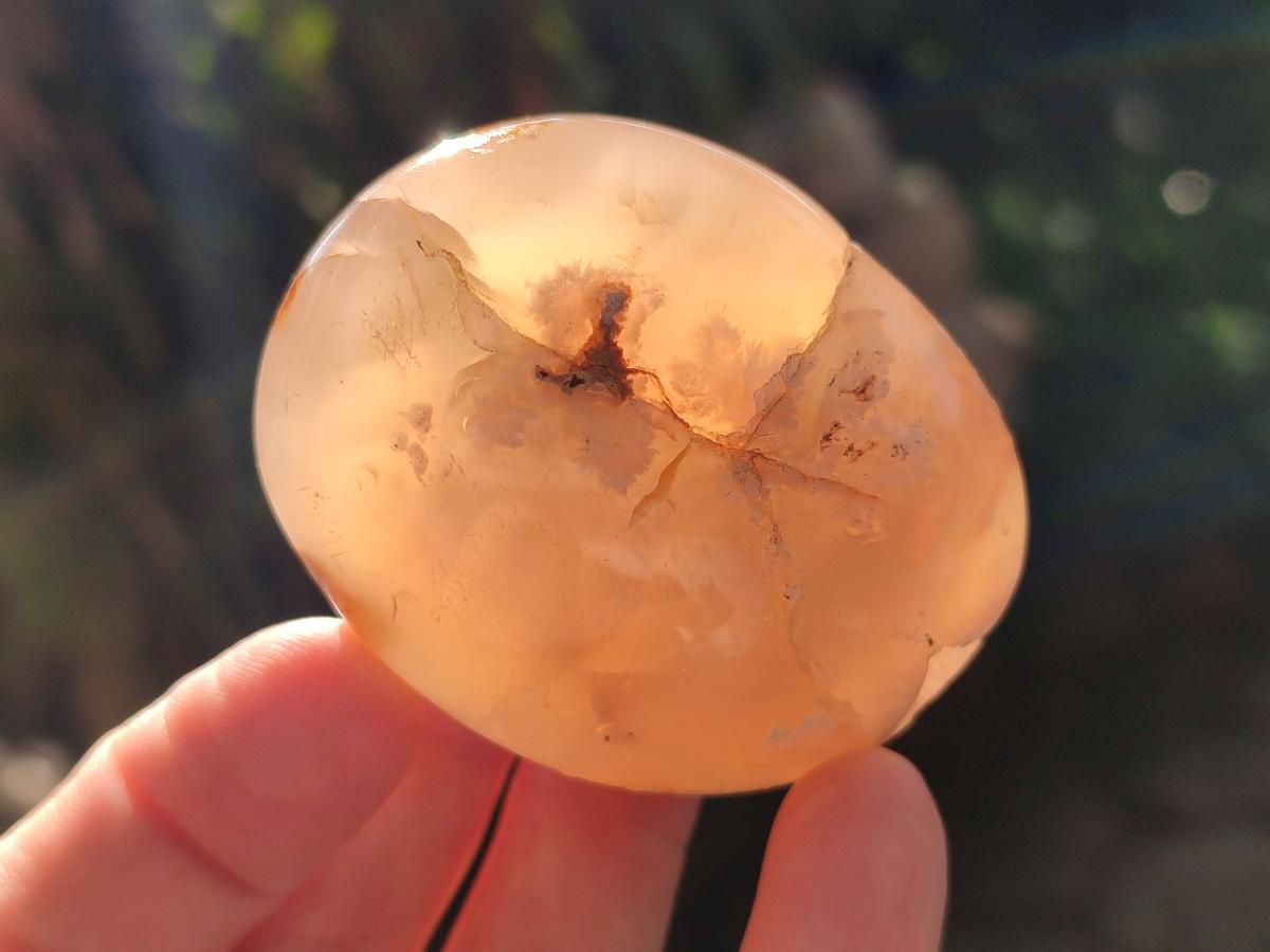 Polished Flower Agate Palm Stones x 12 From Antsahalova, Madagascar - Toprock Gemstones and Minerals 