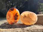 Polished Flower Agate Palm Stones x 12 From Antsahalova, Madagascar - Toprock Gemstones and Minerals 