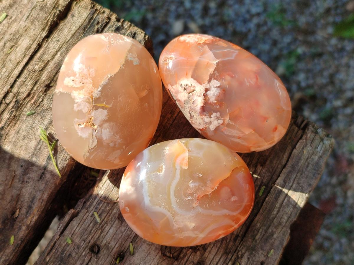 Polished Flower Agate Palm Stones x 12 From Antsahalova, Madagascar - Toprock Gemstones and Minerals 