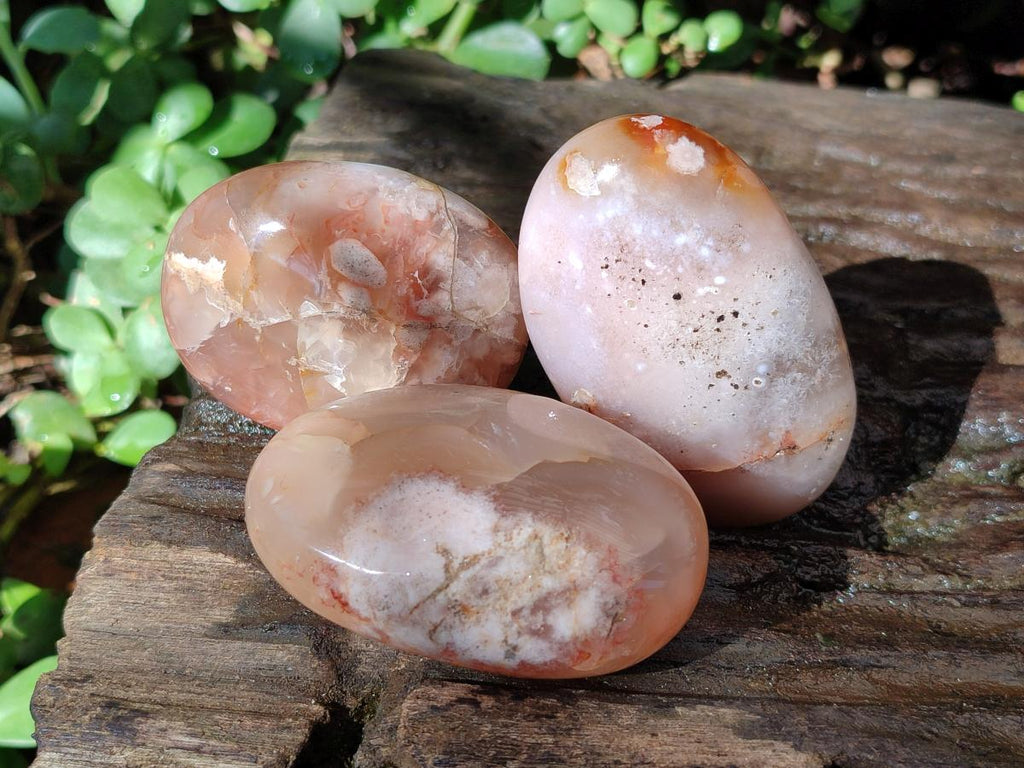 Polished Flower Agate Palm Stones x 12 From Antsahalova, Madagascar - Toprock Gemstones and Minerals 