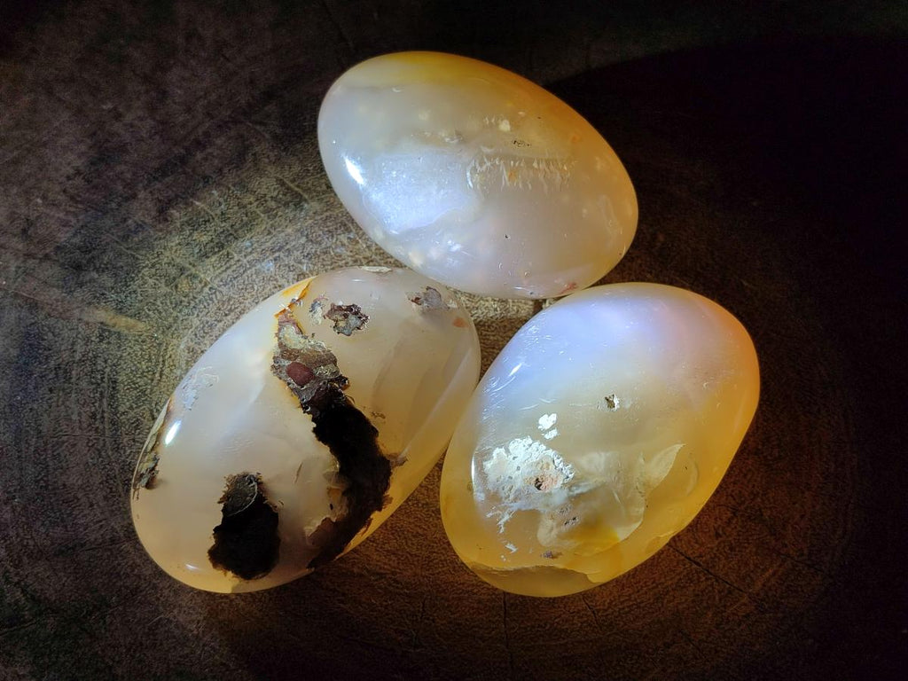 Polished Flower Agate Palm Stones x 12 From Antsahalova, Madagascar - Toprock Gemstones and Minerals 