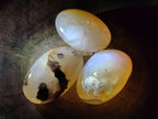 Polished Flower Agate Palm Stones x 12 From Antsahalova, Madagascar - Toprock Gemstones and Minerals 