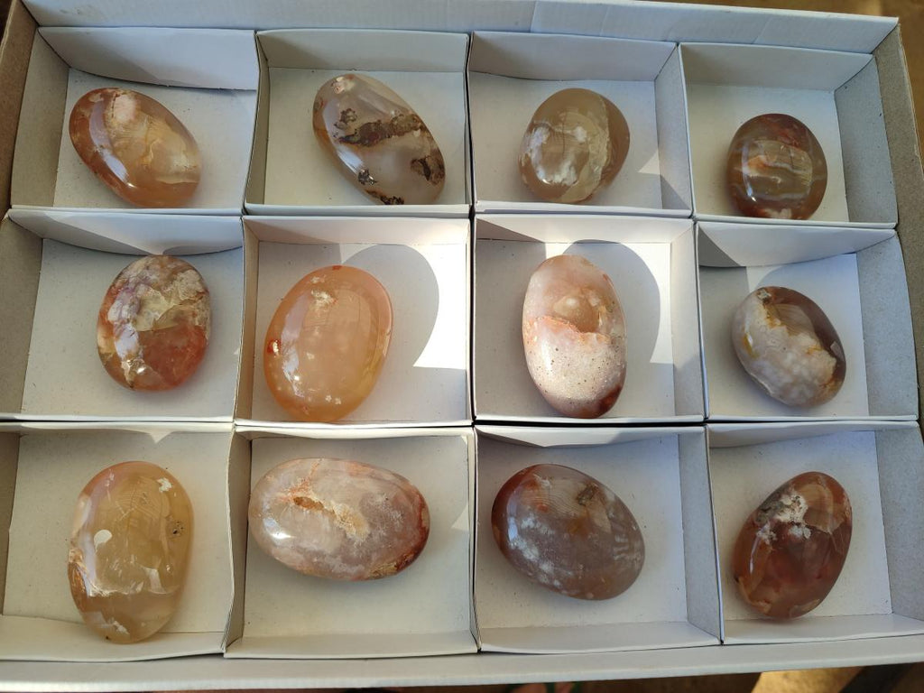 Polished Flower Agate Palm Stones x 12 From Antsahalova, Madagascar - Toprock Gemstones and Minerals 