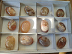 Polished Flower Agate Palm Stones x 12 From Antsahalova, Madagascar - Toprock Gemstones and Minerals 