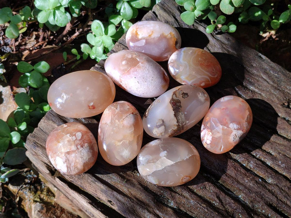 Polished Flower Agate Palm Stones x 12 From Antsahalova, Madagascar - Toprock Gemstones and Minerals 
