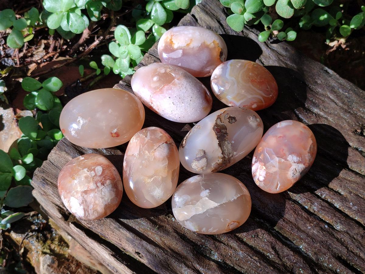 Polished Flower Agate Palm Stones x 12 From Antsahalova, Madagascar - Toprock Gemstones and Minerals 
